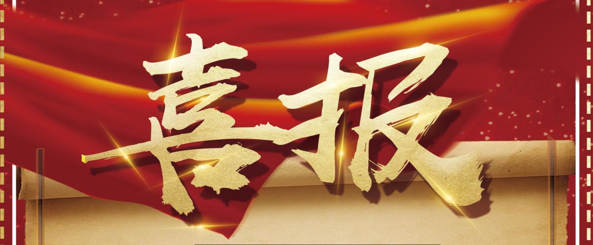 星力正版十代